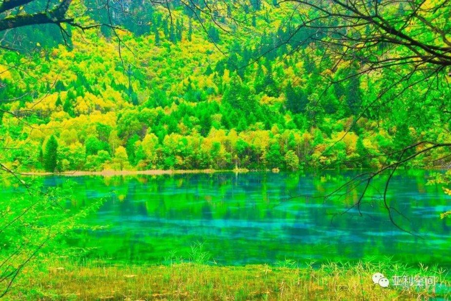 拯救精灵的土地6