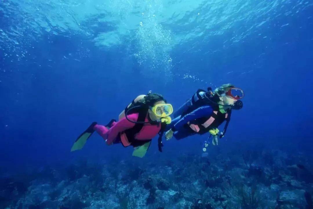 传统皇后救援