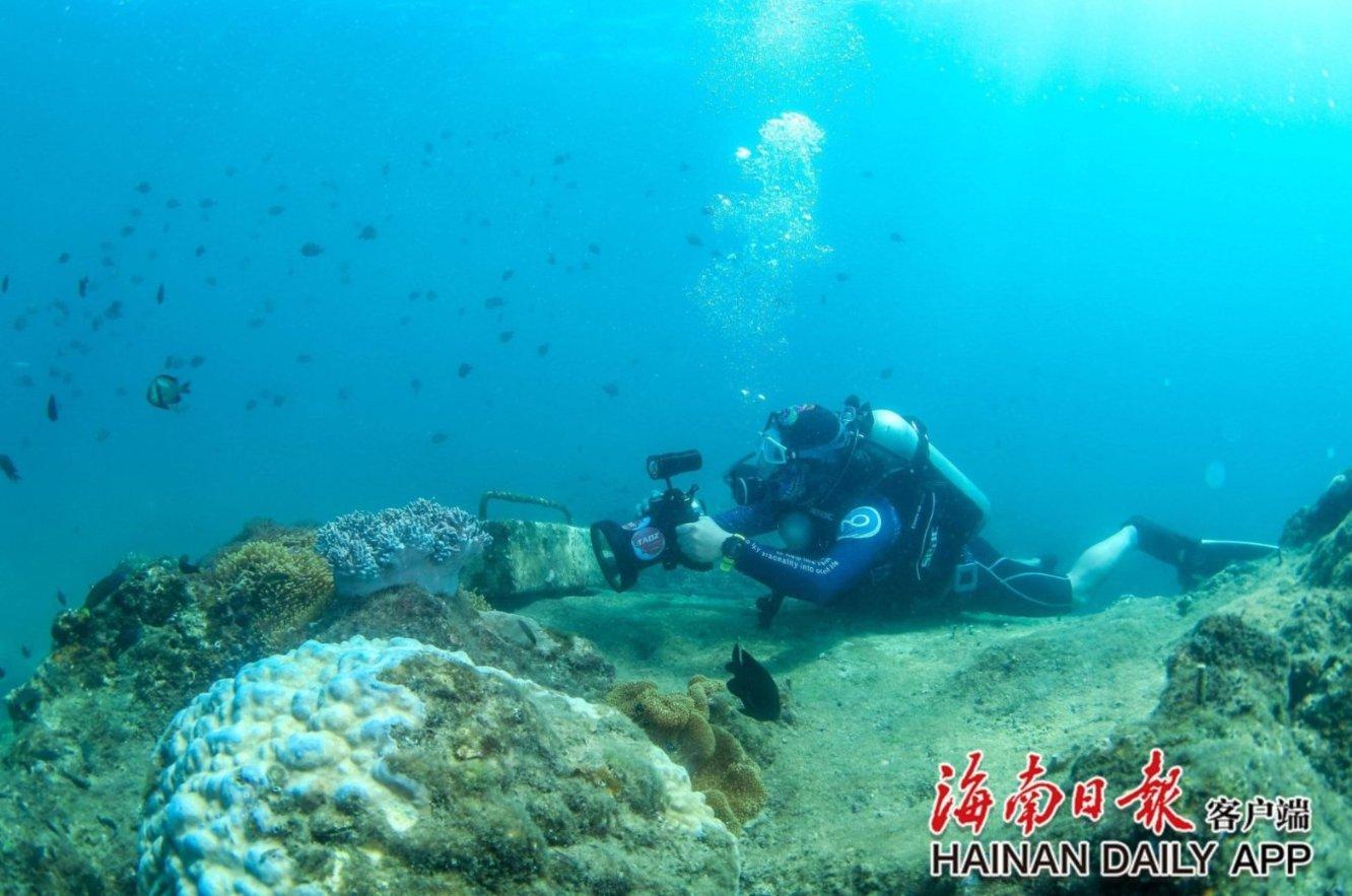 重庆2023年聘用退休“双高”人才实现倍增