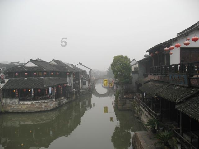 救援受困的火鸡